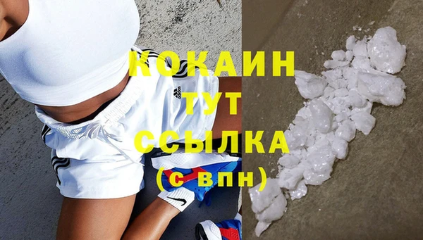 ешки Белокуриха